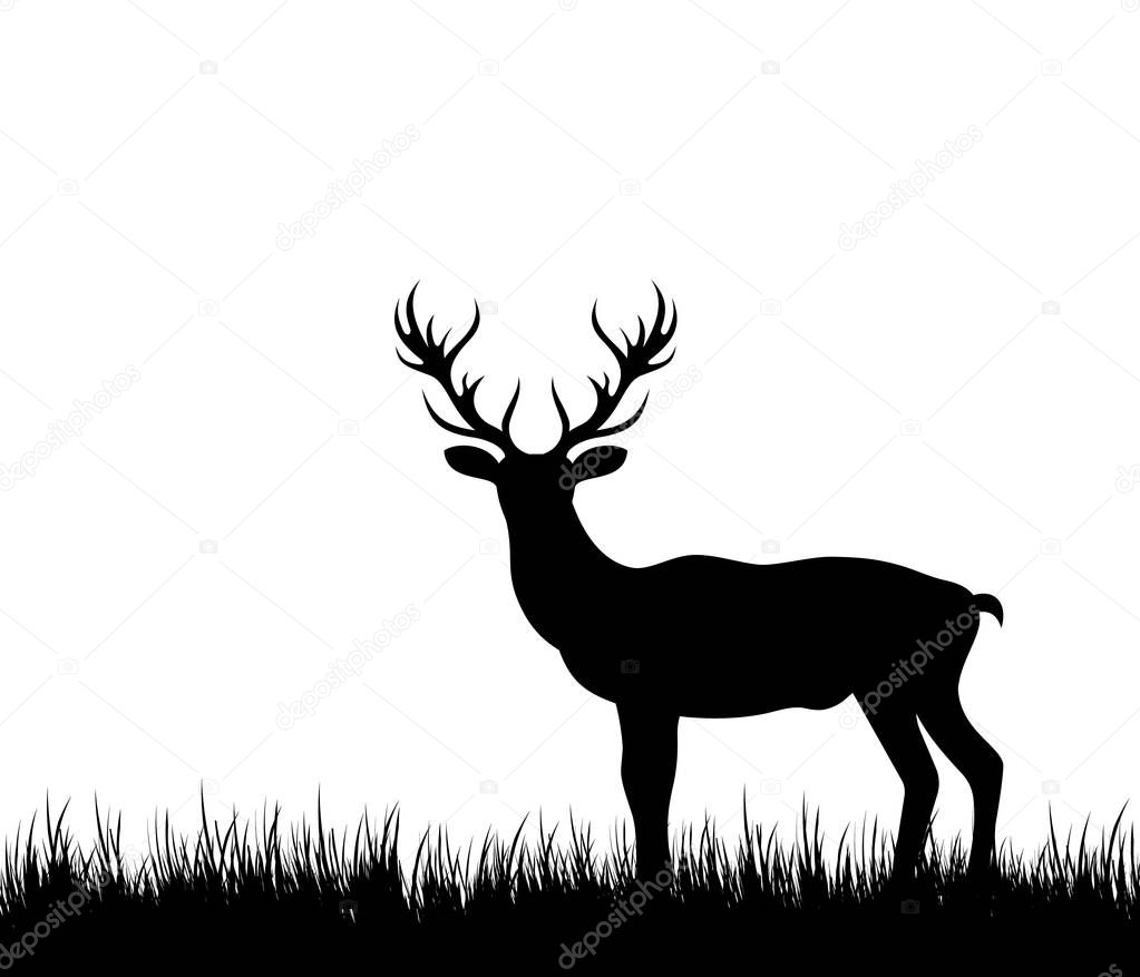 Silhouette Deer, Stag, Reindeer in Forest Grass