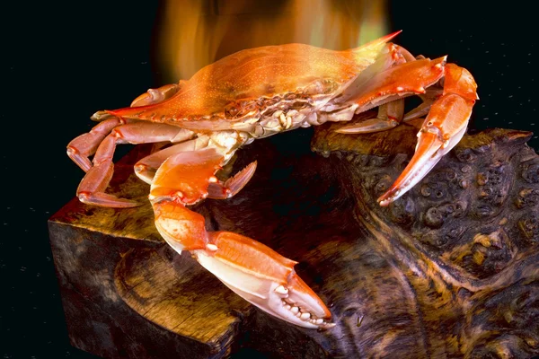 Krab v plamenech. — Stock fotografie