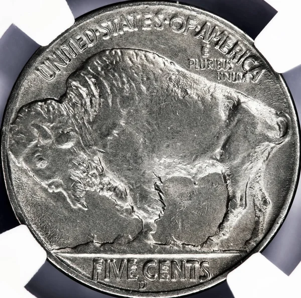 罕见的野牛镍币 — 图库照片