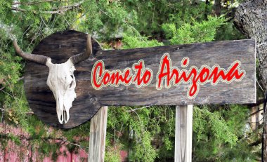 Arizona'ya gel.