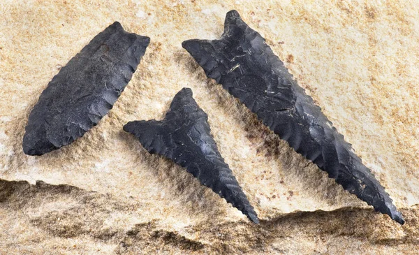 Paleo Dalton Arrowheads. — Fotografie, imagine de stoc