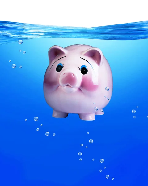 Банк свиней под водой . — стоковое фото