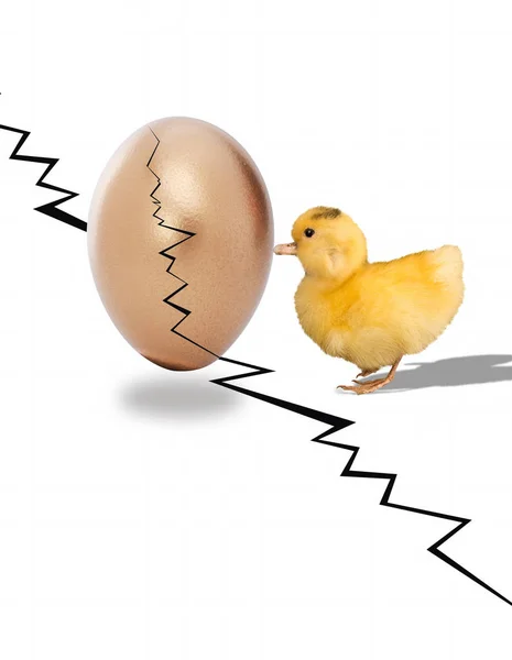 Ente und Ei. — Stockfoto