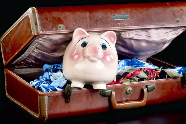 Roze Piggy op vakantie. — Stockfoto