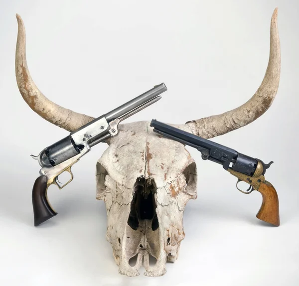 Pistolas antiguas y cráneo de vaca . — Foto de Stock