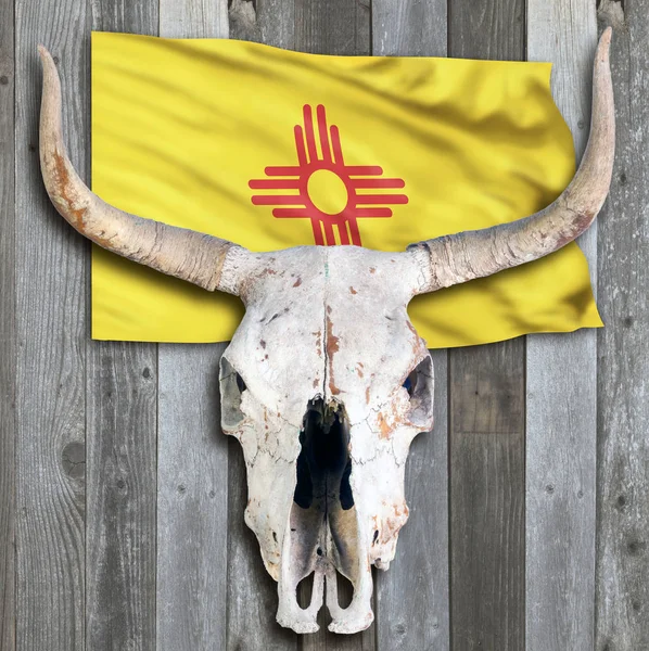 New Mexico flag and Cow Skull. — Stock Photo, Image