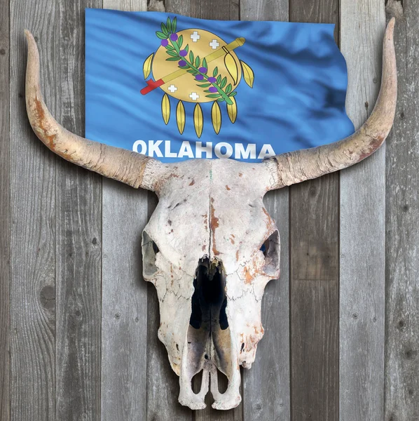 Cráneo de vaca vieja con bandera de Oklahoma . — Foto de Stock