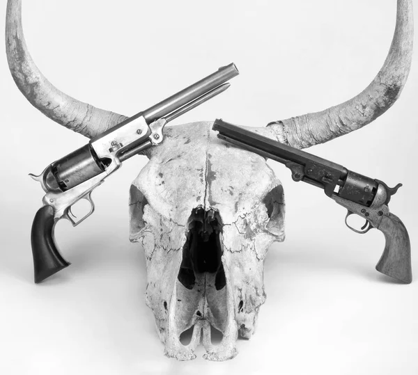 Pistolas antiguas y cráneo de vaca . — Foto de Stock