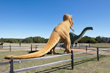 Dinozor Vadisi Texas Paluxy Nehri üzerinde.