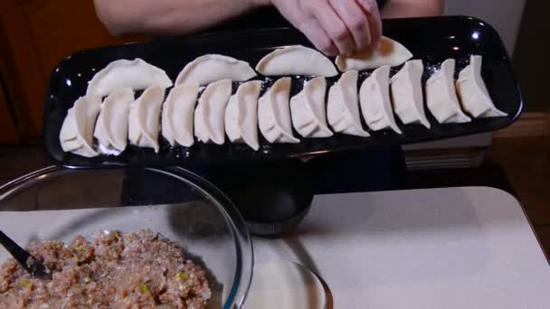 Dumplings de cerdo chino . — Vídeo de stock