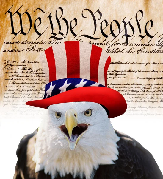 We the People. — Stock Photo, Image