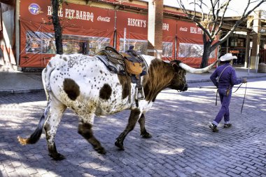 Fort Worth Ahırları .