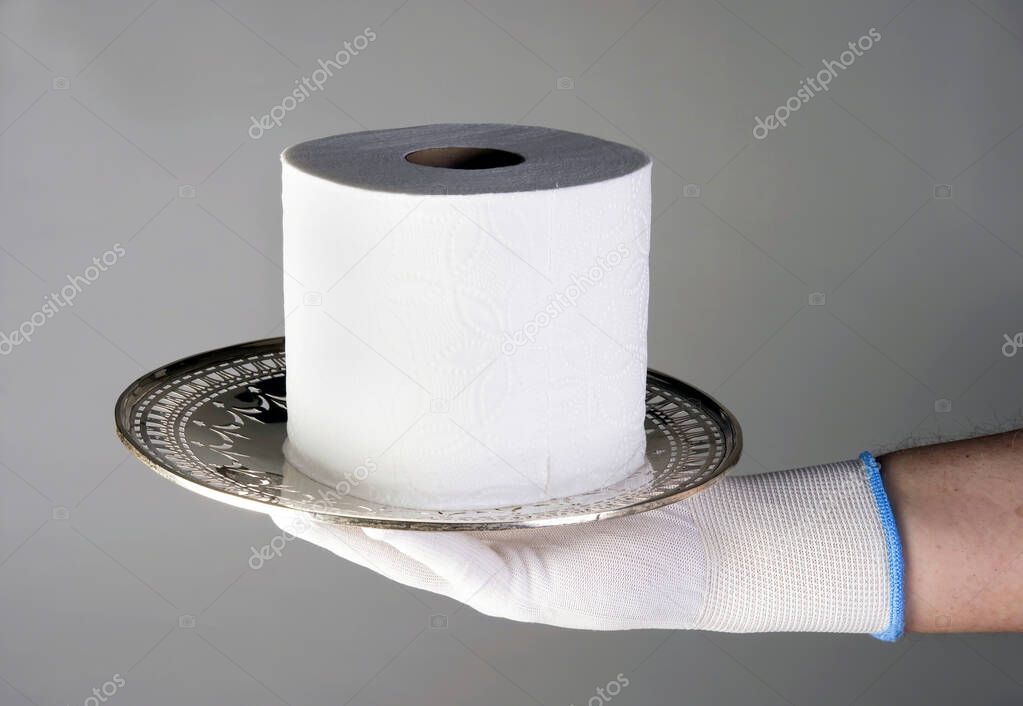 Last roll of toilet paper, more valuable than gold. 