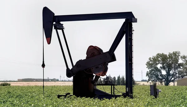 Нефтеперекачивающее Оборудование Западного Техаса Остановило Установку Масла Хлопковом Поле — стоковое фото