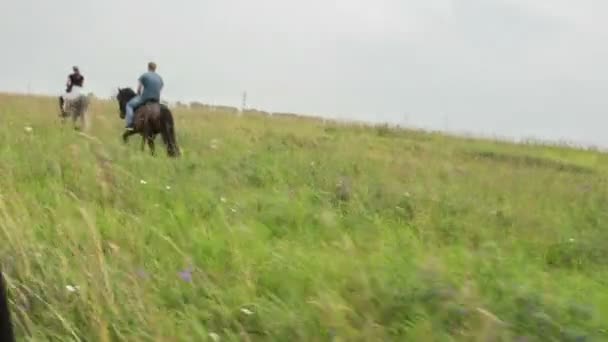 Hombre y mujer cabalgando en el campo a caballo — Vídeo de stock