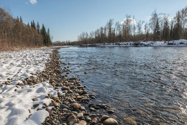 Río en Siberia Occidental —  Fotos de Stock