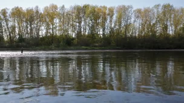 Fifman на реке — стоковое видео