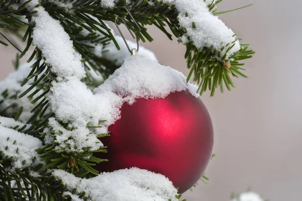 Adornos de árbol de Navidad en un árbol de pieles de Navidad —  Fotos de Stock