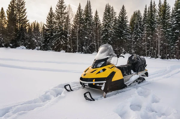 Karmobil ormandaki bir karla kaplı çayır üzerinde — Stok fotoğraf