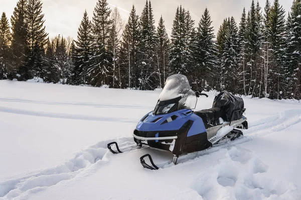 Karmobil ormandaki bir karla kaplı çayır üzerinde — Stok fotoğraf