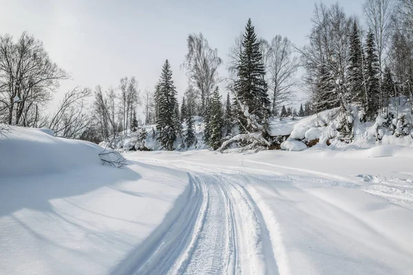 Schneemobil-Trail auf dem zugefrorenen Waldfluss — Stockfoto