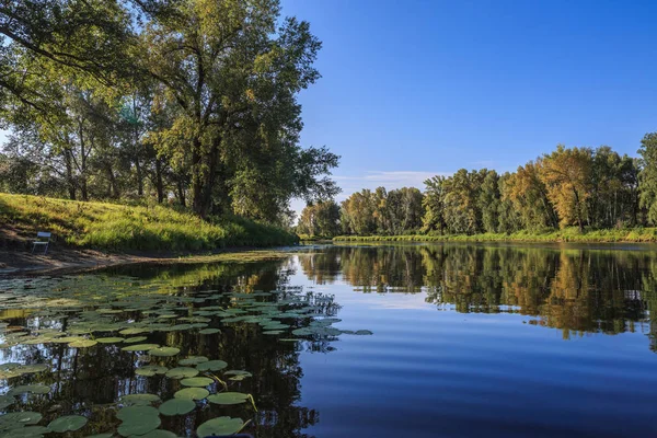 Schöne Sommerlandschaft mit Fluss und Seerosen — Stockfoto