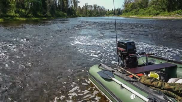 Motoscafo sulla riva di un fiume foresta con una corrente rapida — Video Stock