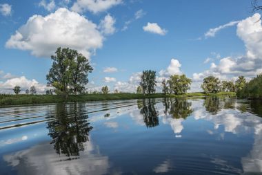 Güzel yaz manzarası