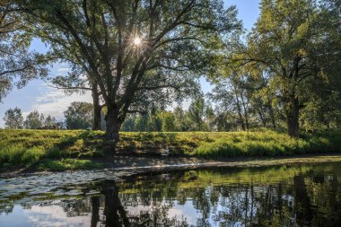 Güzel yaz manzarası