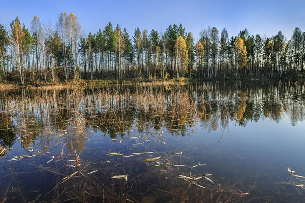 Veduta di un lago forestale nella stagione autunnale — Foto Stock