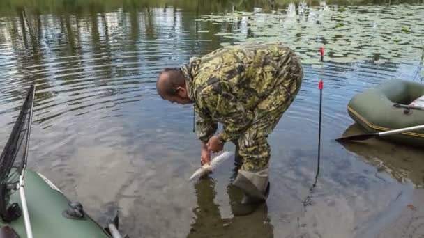 Mannen försöker väcka gäddan — Stockvideo