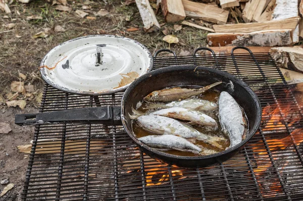 Fish is fried on a bonfire — Stock Photo, Image