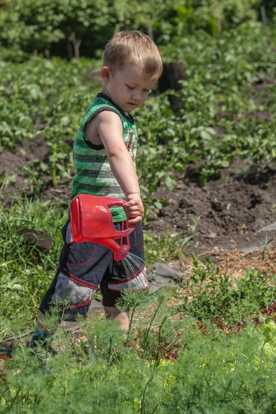 Ragazzo in un giardino — Foto Stock