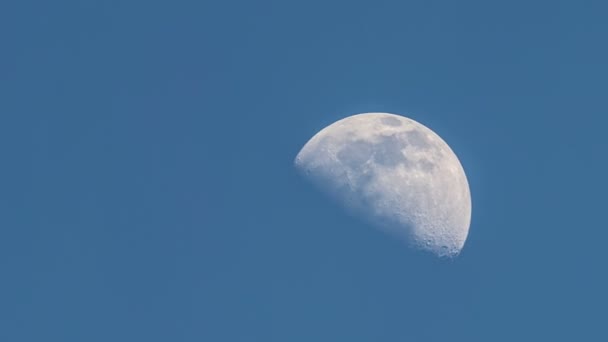 Luna Tarde Contra Cielo Azul — Vídeos de Stock