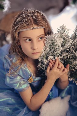 Bir kış harikalar dalgın tatlı Prenses