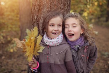 Güneşli bir sonbahar yolda iki arkadaş