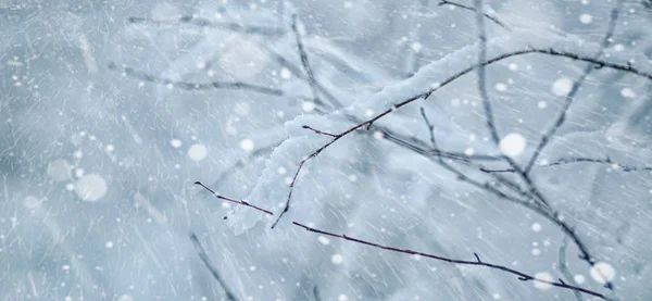 Winter wonderland background abstract — Stock Photo, Image