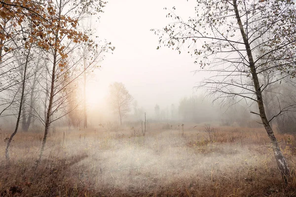 Niebla otoño mañana paisaje — Foto de Stock