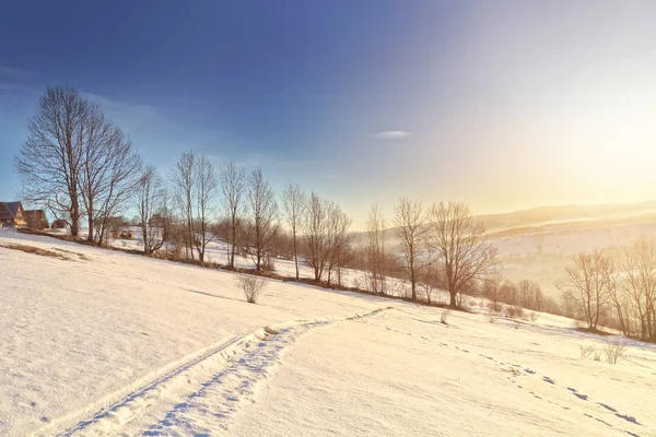 Beautiful view of the rising morning sun in winter — Stock Photo, Image