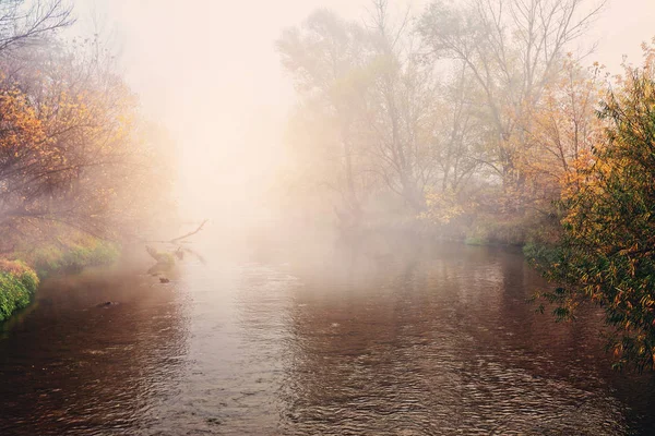 Autumn Scenery Flowing River — Stock Photo, Image