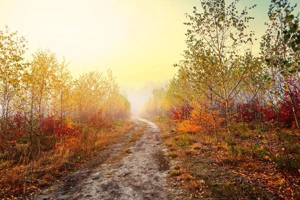 Podzimní Krajina Cesta Barevné Zúčtování — Stock fotografie
