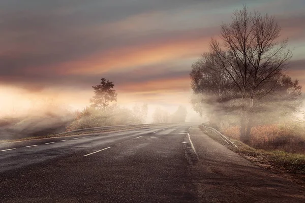 Идиллия Красочный Вид Туманной Осенней Дороги — стоковое фото