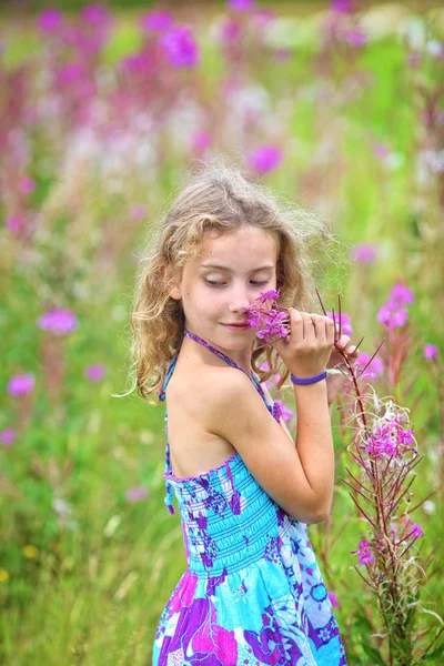 Bedårande Flicka Njuter Livet Och Samlar Blommor — Stockfoto