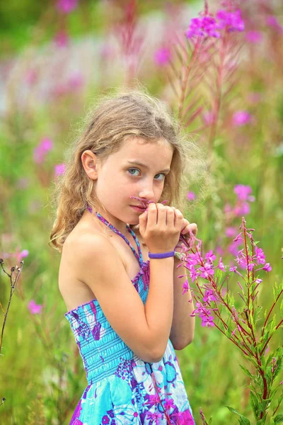 Schattig Meisje Geniet Van Het Leven Verzamelt Wilde Bloemen — Stockfoto