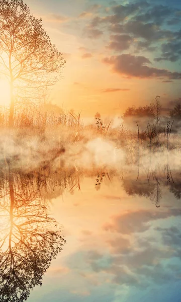 Ομίχλη Και Ηλιόλουστο Πρωί Στη Λίμνη — Φωτογραφία Αρχείου