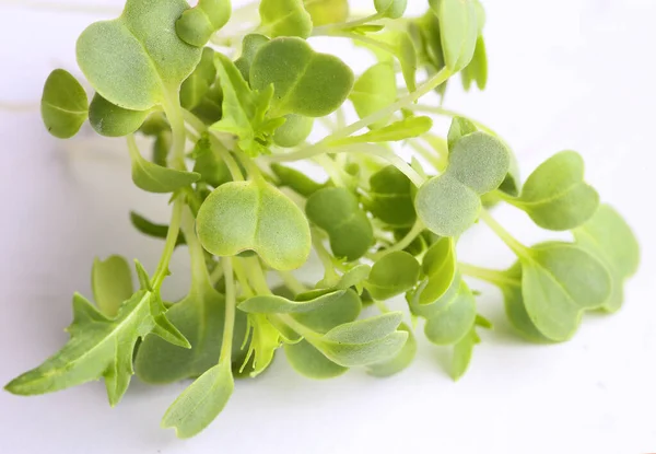 Brotos Microgreens Saudáveis Apetitosos — Fotografia de Stock