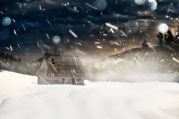 Abandoned Shepherd Hut Polish Mountains — Stock Photo, Image