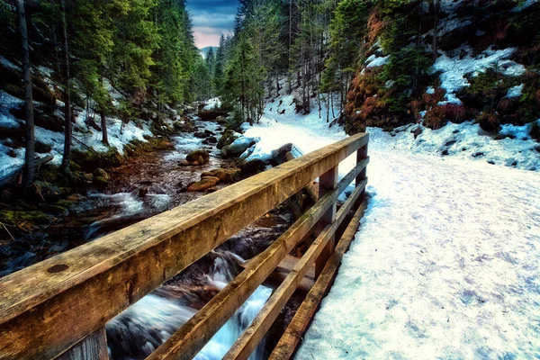 View Mountain Trail Polish Mountains — Stock Photo, Image