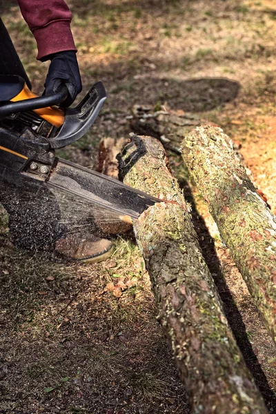 Lumberjack Man Cuts Tree Pieces Sawmill — Stock Photo, Image