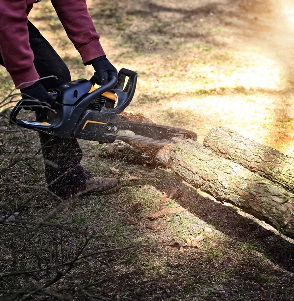 Lumberjack Man Cuts Tree Pieces Sawmill — Stock Photo, Image